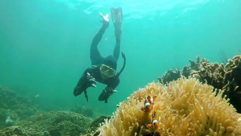 topp ting å gjøre i batam Reefs Adventure Batam