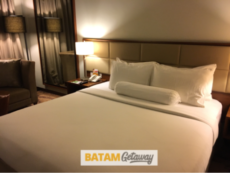 I Hotel Baloi Batam - Deluxe Room 2