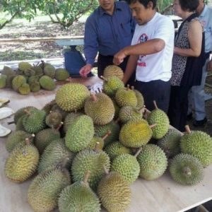 Batam Crown Vista Durian Buffet Package