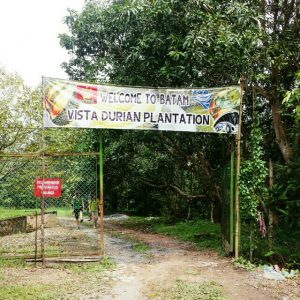 Batam Durian Tour