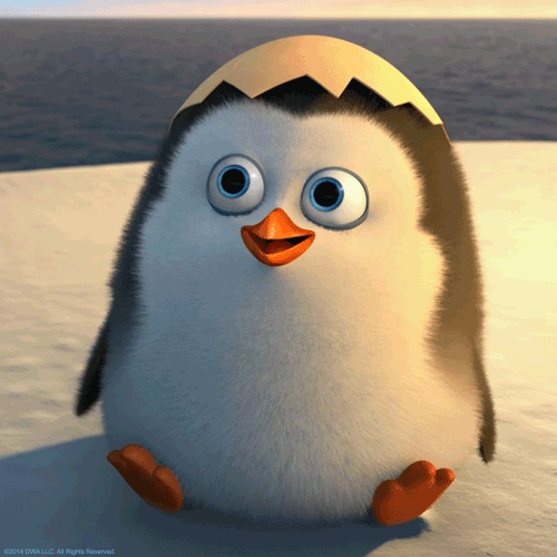 penguin hello gif